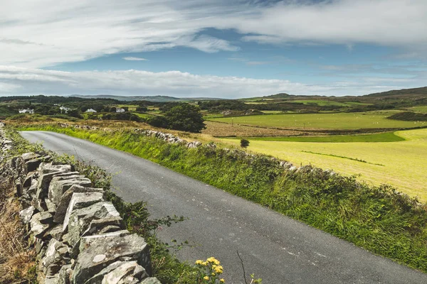 Rustic asphalt road and field nothern ireland — Stock Photo, Image