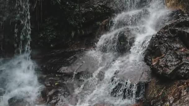Cascada de montaña cascada salvaje tropical corriente — Vídeos de Stock