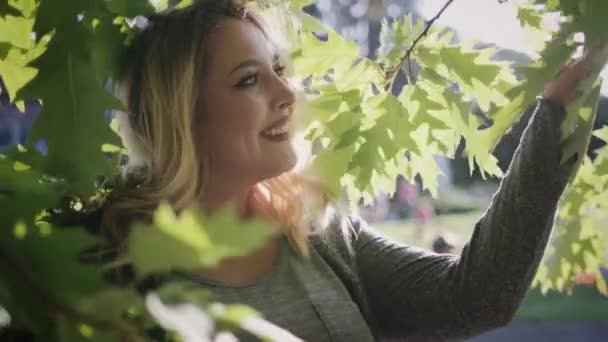 Απολαυστική νεαρή γυναίκα συν το μέγεθος Απολαύστε το δέντρο φύλλα — Αρχείο Βίντεο