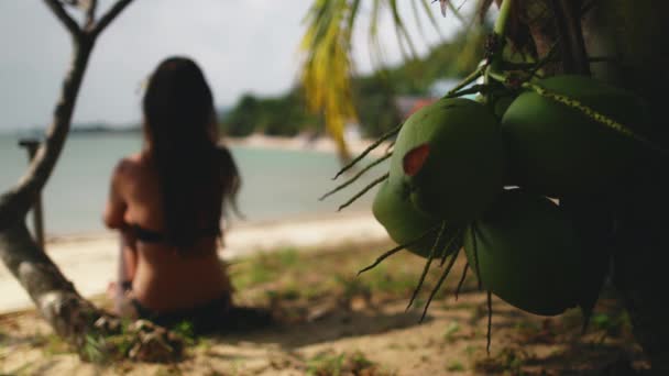 Mujer sentarse bajo la palma de coco tropical vista posterior — Vídeos de Stock