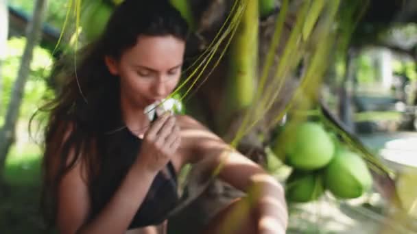 Женщина, сидящая под пальмами экзотический отпуск — стоковое видео