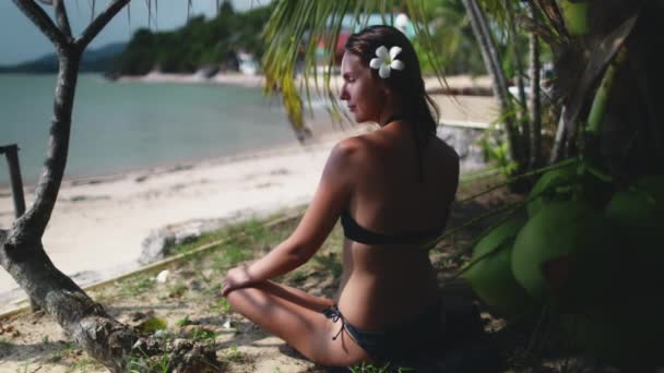 Мирна жінка сидить під тропічною кокосовою пальмою — стокове відео