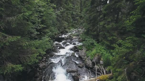 Tatry río de montaña arroyo rápido con rápidos — Vídeos de Stock
