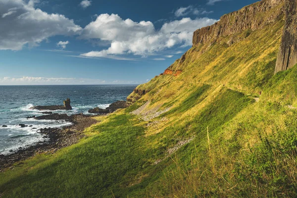 아일랜드의 노르웨이어 해안에 있는 농토 — 스톡 사진