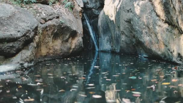 Pam bok cachoeira escondida na selva tailândia natureza — Vídeo de Stock