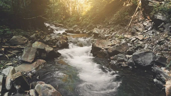 Vuelo aéreo: río de montaña en bosque otoñal —  Fotos de Stock