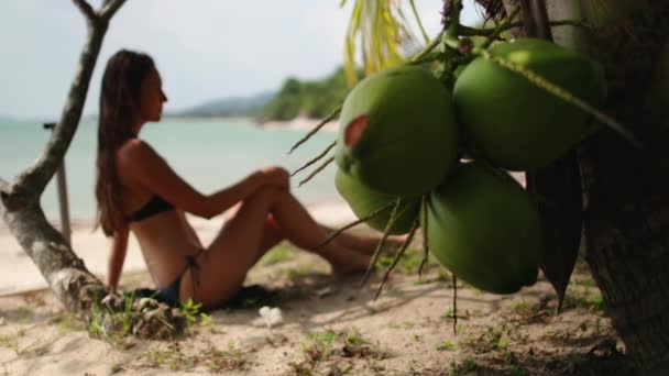 Wanita riang duduk di bawah telapak tangan di garis pantai — Stok Video