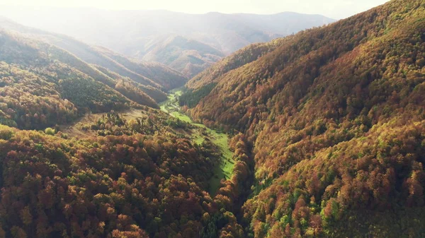 Зеленые луга у подножия холмов, покрытых осенними лесами — стоковое фото