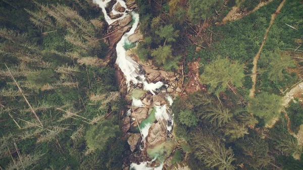 Pohled shora dolů z rychle se borového lesa — Stock fotografie