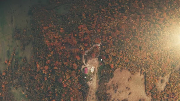 Alberi di bosco rosso e marrone circondano edifici agricoli — Foto Stock