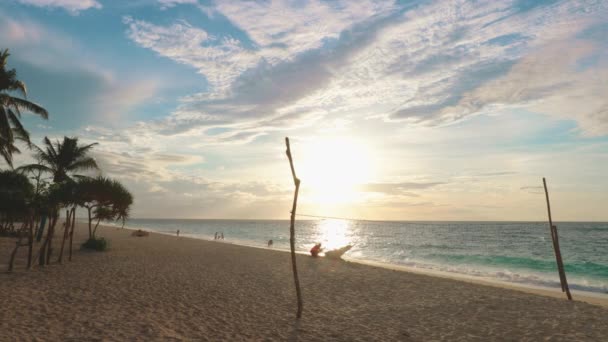 Volleybalnet aan zee strand met palmboom — Stockvideo