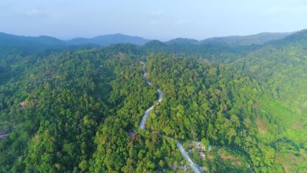 Panoramic green forest nature landscape drone view — Stock video