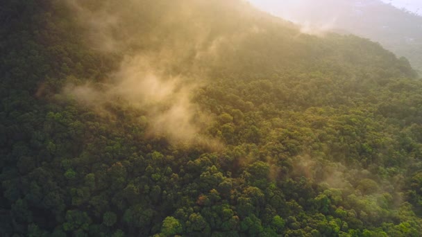 Mountain forest slant fog landscape drone view — Stockvideo