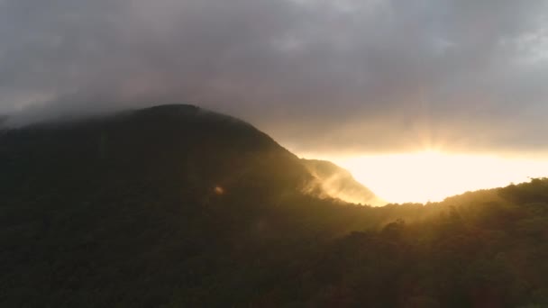 Bergschuine oppervlak dicht bos uitzicht vanuit de lucht — Stockvideo