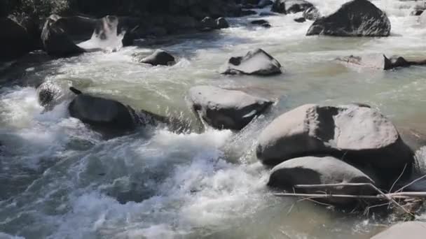 Fiume flusso flusso veloce movimento bagnato cascata di pietra — Video Stock