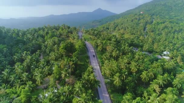 Lange weg kokosnoot palm boom landschap drone uitzicht — Stockvideo