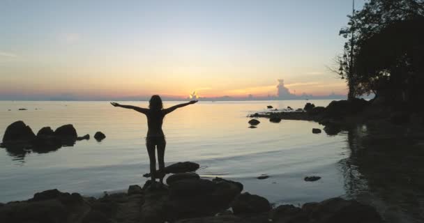 바위투성이 해변의 전경에 서 있는 소녀 — 비디오