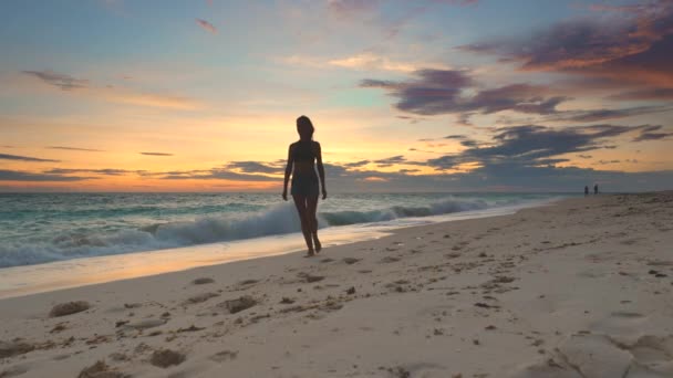 Σιλουέτα της νεαρής κοπέλας που περπατά κοντά στην ακτή του ωκεανού — Αρχείο Βίντεο
