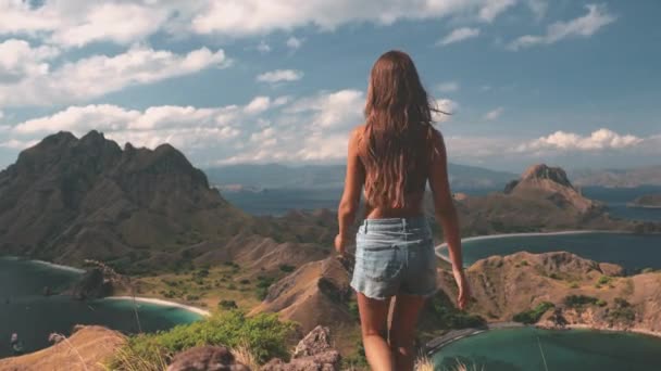 Fille court jusqu'au bord de la falaise et jouit de la beauté — Video