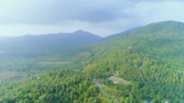 Idyllisch tropisch houtlandschap luchtfoto overzicht — Stockvideo