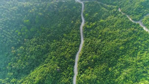 Epische grüne Waldlandschaft lange Straße Luftaufnahme — Stockvideo