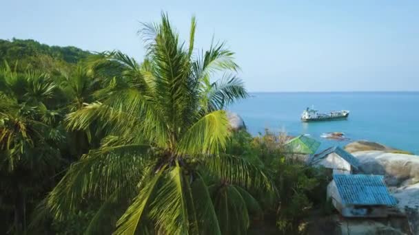 Tropikalna plaża krajobraz ładunek statek widok z lotu ptaka — Wideo stockowe