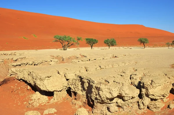 Deadvlei, Sossusvlei. Namíbia — Fotografia de Stock
