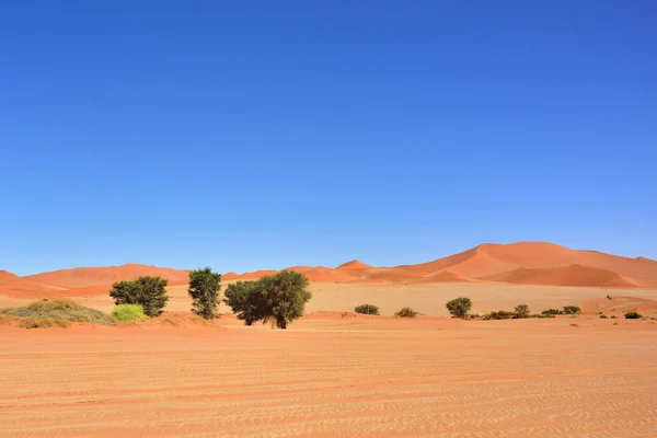 SOSSUSVLEI, Namib Naukluft Nationaal Park, Namibie — Stockfoto