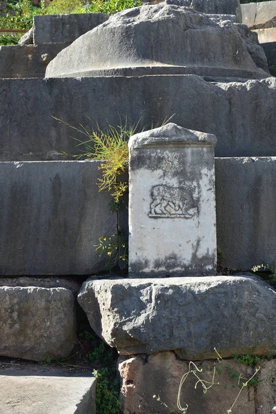 デルファイ、ギリシャの牛像と大理石のスラブ — ストック写真