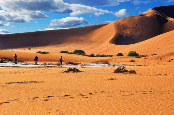 纳米布沙漠中，在 Sossu 大沙丘之间行走的人 — 图库照片