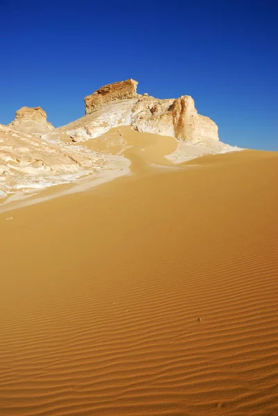 Witte woestijn, de sahara — Stockfoto