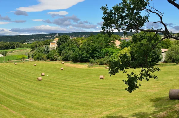 Provence-landschap — Stockfoto