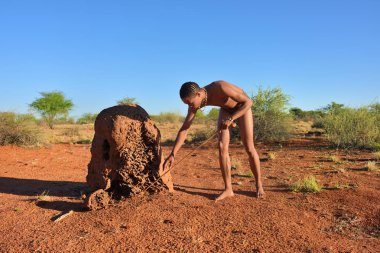 Buşman avcı, kalahari Çölü, Namibya
