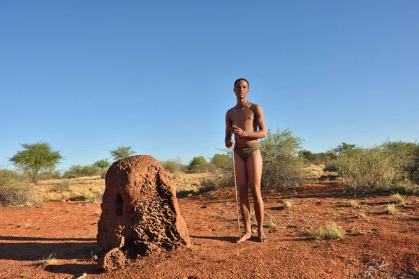 Bushman hunter, poušti kalahari, Namibie — Stock fotografie