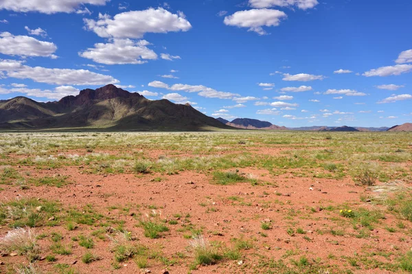 Namib Çölü manzarası, Namibya — Stok fotoğraf