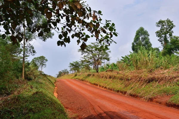 Road in Uganda, Africa — Stock Photo, Image