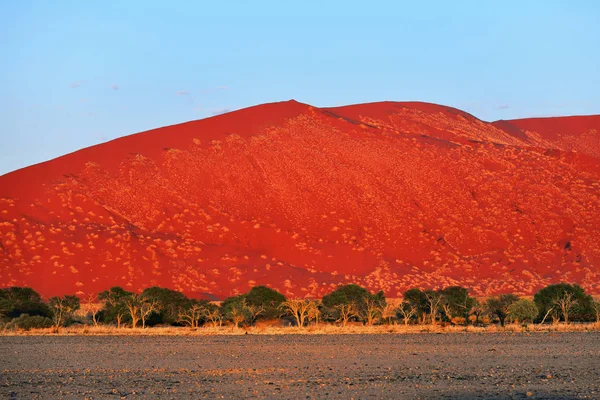 Sossusvlei, Namib Naukluft National Park, Namibia — Stockfoto