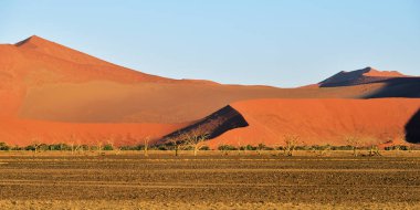 Sossusvlei, Namib Naukluft Milli Parkı, Namibya