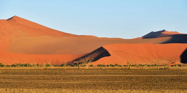 Sossusvlei, Namib Naukluft Національний парк, Намібія — стокове фото