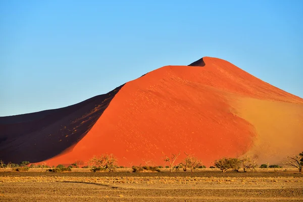 Sossusvlei, Namíb Naukluft nemzeti parkban, Namíbia — Stock Fotó