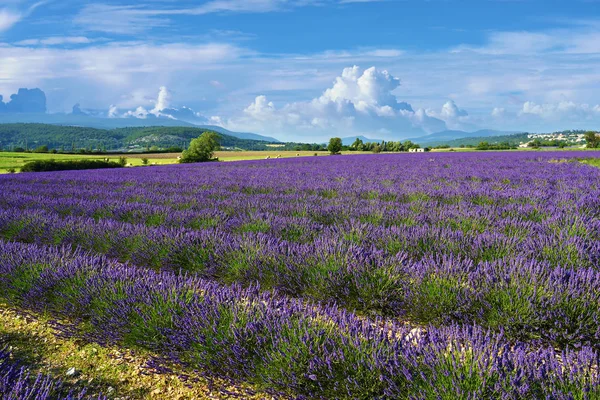 Прованский пейзаж, Франция — стоковое фото