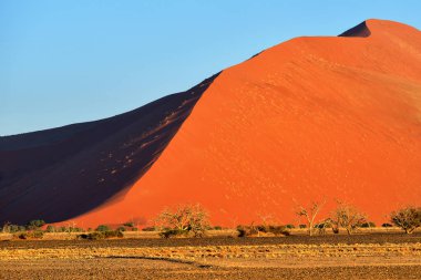 Sossusvlei, Namib Naukluft Milli Parkı, Namibya