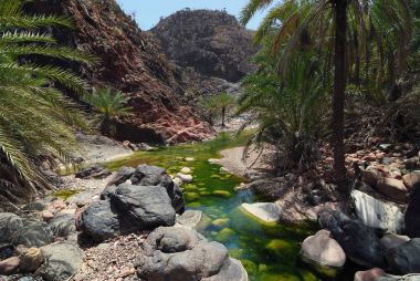 Sokotra Adası, Wadi Dirhur nehirde. Yemen