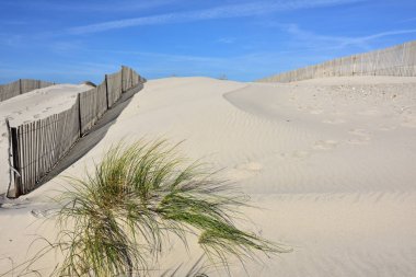 Costa Nova beach Aveiro, Portekiz