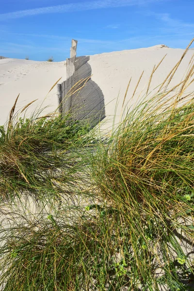 Praia da Costa Nova em Aveiro, Portugal — Fotografia de Stock