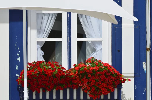 Randig färgade hus, Costa Nova, Beira Litoral, Portugal, euro — Stockfoto