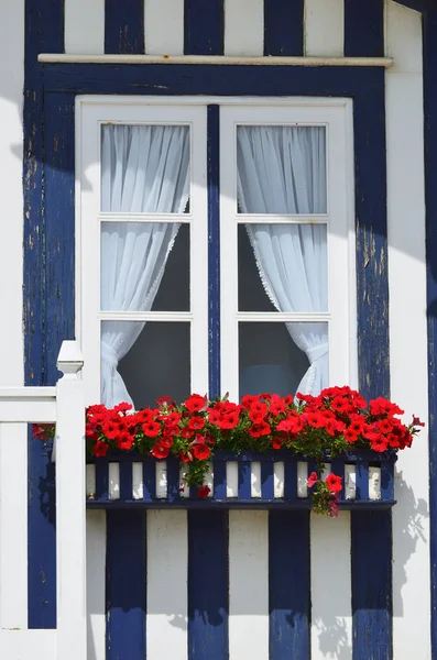 Randig färgade hus, Costa Nova, Beira Litoral, Portugal, euro — Stockfoto