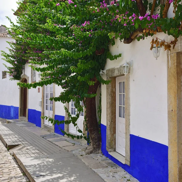 Obidos, Portekiz pitoresk şehrin sokaklarında — Stok fotoğraf