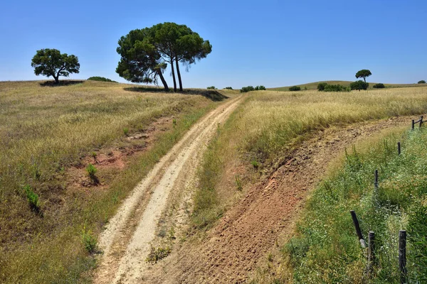Paesaggio rurale, Portogallo — Foto Stock