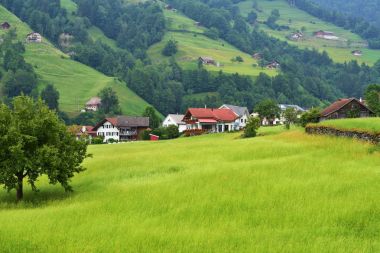 Alp manzarada çarpıcı: Kanton Uri, İsviçre